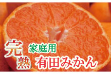 家庭用　完熟有田みかん10kg+300g（傷み補償分）【わけあり・訳あり】【光センサー選別】＜11月上旬より順次発送予定＞【ikd022A】