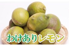 家庭用黒潮レモン5kg+150g（傷み補償分）【和歌山有田産】【防腐剤・WAX不使用、安心の国産レモン】【わけあり・訳あり】【ikd031B】