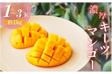【希少マンゴー】濃厚キーツマンゴー　約1kg(1～3玉)【ard042B】