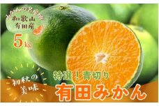 【先行予約】【2025年9月中旬～10月中旬頃発送予定】【初秋の美味】【農家直送】特選!青切り有田みかん　5kg　　
【ard044C】