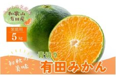 【先行予約】【2025年9月中旬～10月中旬頃発送予定】【初秋の美味】【農家直送】有田育ちのご家庭用青切り有田みかん　5kg【ard045B】