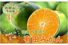 【先行予約】【2025年9月中旬～10月中旬頃発送予定】【初秋の美味】【農家直送】特選!青切り有田みかん　3kg　【ard043B】