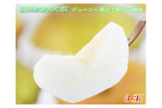 紀州和歌山産の梨　3玉　化粧箱入　※2023年7月中旬頃～9月中旬頃順次発送（お届け日指定不可）【uot751】