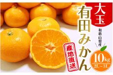 ＼ みかんの名産地 和歌山県産／ 農家直送 大玉 有田みかん 10kg （2L～3L） ひとつひとつ手選別で厳選【2025年11月下旬～1月中旬ごろに順次発送予定】 | みかん フルーツ 果物 くだもの 有田みかん 蜜柑 柑橘【hdm001-2A】