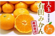 ＼ みかんの名産地 和歌山県産／ 農家直送 大玉 有田みかん 5kg （2L～3L） ひとつひとつ手選別で厳選【2025年11月下旬～1月中旬ごろに順次発送予定】 | みかん フルーツ 果物 くだもの 有田みかん 蜜柑 柑橘【hdm001-1A】