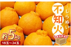 ＼ みかんの名産地 和歌山県産／ 農家直送 不知火 約5kg(18～24玉) ひとつひとつ手選別で厳選【2026年2月中旬～3月下旬ごろに順次発送予定】【hdm002A】