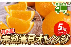 ＼ みかんの名産地 和歌山県産／ 農家直送 完熟清見オレンジ 5kg (M～２Lサイズおまかせ) ひとつひとつ手選別で厳選【2026年3月中旬～4月下旬ごろに順次発送予定】【hdm003A】