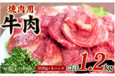 牛タレ仕込味付焼肉 300g×4パック 合計1.2kg【冷凍】 / 肉 牛肉 牛 小分け 味 焼き肉 焼肉 【tnk204】