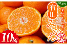 【訳あり】農家直送 有田みかん 約10kg ご家庭用 サイズ混合 ※2025年11月中旬より順次発送予定（お届け日指定不可）※北海道・沖縄・離島への配送不可　訳ありみかん 温州みかんイズ混合 訳ありみかん 温州みかん 有機質肥料100% ふるさと納税 柑橘 有田 産地直送【nuk138E】