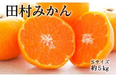 【ブランドみかん】田村みかん約5kg（Sサイズ・秀品）　【2025年11月下旬より順次発送】【tec883A】