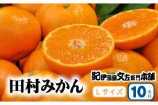 田村みかん 特選ギフト品 10kg【Lサイズ】赤秀/紀州和歌山有田郡湯浅町田村地区産 ◆2025年11月下旬～2026年1月中旬頃より順次発送(お届け日指定不可)　紀伊国屋文左衛門本舗【sgtb302B】