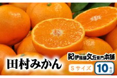 田村みかん 特選ギフト品 10kg【Sサイズ】赤秀/紀州和歌山有田郡湯浅町田村地区産 ◆2025年11月下旬～2026年1月中旬頃より順次発送(お届け日指定不可)　紀伊国屋文左衛門本舗【sgtb304B】