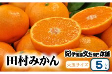 田村みかん 5kg 秀品【大玉サイズ】/紀州和歌山有田郡湯浅町田村地区産 ◆2025年11月下旬～2026年1月中旬頃より順次発送(お届け日指定不可)　紀伊国屋文左衛門本舗【sgtb305B】