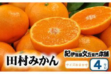 田村みかん 秀品 4kg サイズおまかせ/紀州和歌山有田郡湯浅町田村地区産 ◆2025年11月下旬～2026年1月中旬頃より順次発送(お届け日指定不可)　紀伊国屋文左衛門本舗【sgtb307B】