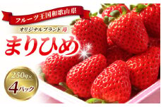 【来シーズン先行予約】紀州和歌山ブランドいちご「まりひめ」約２５０ｇ×４Ｐ　※2026年1月上旬頃～2026年3月上旬頃順次発送予定（お届け日指定不可）【uot758A】