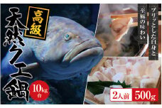 【冷蔵】天然 高級クエ 10kg台  クエ鍋セット 2人前(250g×2) 【2025年11月下旬から2026年2月下旬までに順次発送致します。】 / 高級 海鮮 お魚 魚  くえ鍋 クエ鍋 くえ くえ天然 冷蔵 海産物【tkw006-1】