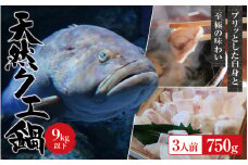 【冷凍】天然 クエ 9kg 以下 クエ鍋セット 3人前(250g×3) 【2025年11月下旬から2026年2月下旬までに順次発送致します。】 / 高級 海鮮 お魚 魚  くえ鍋 クエ鍋 くえ くえ天然 冷凍 海産物【tkw003-2】