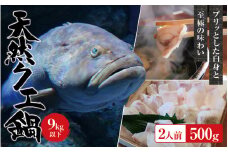 【冷凍】天然 クエ 9kg 以下 クエ鍋セット 2人前(250g×2) 【2025年11月下旬から2026年2月下旬までに順次発送致します。】 / 高級 海鮮 お魚 魚  くえ鍋 クエ鍋 くえ くえ天然 冷凍 海産物【tkw002-2】
