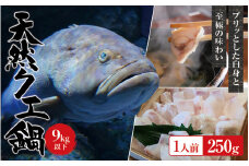 【冷凍】天然 クエ 9kg 以下 クエ鍋セット 1人前(250g) 【2025年11月下旬から2026年2月下旬までに順次発送致します。】 / 高級 海鮮 お魚 魚  くえ鍋 クエ鍋 くえ くえ天然【tkw001-2】
