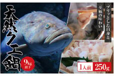 【冷蔵】天然 クエ 9kg 以下 クエ鍋セット 1人前(250g) 【2025年11月下旬から2026年2月下旬までに順次発送致します。】 / 高級 海鮮 お魚 魚  くえ鍋 クエ鍋 くえ くえ天然【tkw001-1】