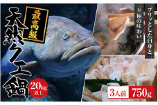 【冷蔵】天然 最高級クエ 20kg 以上  クエ鍋セット 3人前(250g×3) 【2025年11月下旬から2026年2月下旬までに順次発送致します。】 / 高級 海鮮 お魚 魚  くえ鍋 クエ鍋 くえ くえ天然 冷蔵 海産物【tkw011-1】