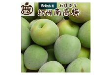 ＜６月発送＞家庭用 紀州南高梅(青梅)4.5kg+135g（傷み補償分）【朝摘み・とれたて直送便】【梅干し・梅酒・梅ジュース】【和歌山産】【わけあり・訳あり】【ikd088A】