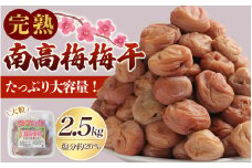 紀州南高梅 昔ながらの 完熟南高梅使用梅干し 1.25kg×2パック(計2.5㎏) / 梅 梅干し 梅干 訳あり わけあり ワケアリ 昔ながら 無添加 塩分濃度約20％ 無添加人気 大容量 2.5キロ 大粒 肉 厚 お米 おにぎり 焼酎 梅酒 健康 【njb647】