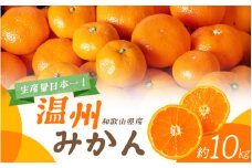 先行予約 和歌山の美味しい 温州みかん 約10kg 【2023年11月中旬頃～2024年2月中旬に順次発送（お届け日指定不可）】/みかん ミカン 柑橘 温州みかん 温州ミカン 和歌山県【mat308】