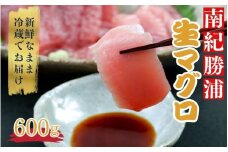水揚げ高日本一！ 南紀勝浦産 生まぐろ ブロック 約600g マグロ まぐろ 鮪 赤身 ブロック 刺身 冷蔵【hor001A】