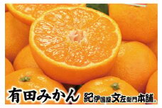 ブランド有田みかん【Ｌ】秀品10kg /／産地直送／薄皮で甘い美味しい和歌山県産／紀伊国屋文左衛門本舗　※2025年11月上旬～2026年1月中旬頃 順次発送（お届け日指定不可）【sgtb141C】
