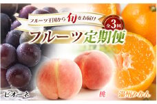 【全3回】フルーツ定期便 桃 ピオーネ 温州みかん フルーツ王国から旬をお届け/フルーツ 果物 もも モモ ぶどう ブドウ みかん ミカン 柑橘 旬 定期便  【tkb303】