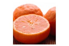 ＜4月より発送＞厳選なつみ2.5kg+75g（傷み補償分）【希少な春柑橘】【初夏のみかん】【有田産】【みかんと同じように食べられます】【ikd089A】