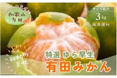 【初秋の美味】【10月～発送】特選ゆら早生有田みかん　3kg　【ard050B】