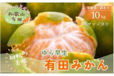 【初秋の美味】【10月～発送】有田育ちのご家庭用訳ありゆら早生有田みかん 10kg【サイズ混合】【ard053B】