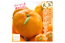 【果汁たっぷり】迫力満点！ 大粒 有田みかん 2.9kg+200g【2025年11月中旬～12月下旬順次発送予定】【ard054C】