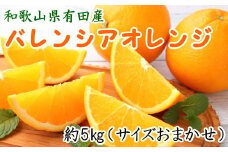 和歌山県有田産バレンシアオレンジ約5kg（サイズおまかせ）（お届け日指定不可）【tec926A】