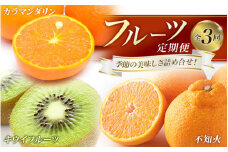 【全3回】フルーツ定期便 季節の美味しさ詰合せ！/フルーツ 果物 カラマンダリン 不知火 キウイ 柑橘 旬 定期便【tkb151】