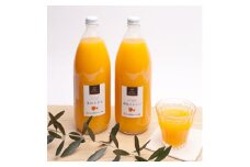 無添加・有田のジュース詰合せ1000ml×2本・2種【ikd103A】
