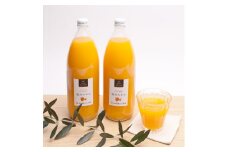 無添加・有田みかん100%ストレートジュース1000ml×2本【ikd107A】
