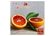 希少な柑橘!紀州有田産ブラッドオレンジ約3kg 【ご家庭用】※2026年3月上旬頃〜3月中旬頃に順次発送 (お届け日指定不可)  / みかん オレンジ ブラッドオレンジ 柑橘				【uot771】