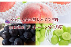 【3か月定期便】【数量限定】和歌山産フルーツ定期便！人気の桃とぶどう三昧　桃 ピオーネ シャインマスカット【tkb152】