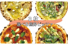 3種類選べる 熊野 ピッツァ / 熊野しらすと大葉ジェノベーゼ・ナポリマルゲリータ・照り焼きチキンピッツァ【rmk200-2】