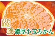 厳選　小玉な有田みかん3kg+90g（傷み補償分）【光センサー選果】＜11月上旬より順次発送予定＞【ikd008-2A】