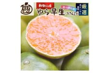 【先行予約】プレミアム有田みかん 2.5kg+250g（傷み補償分）※10月より発送(ゆら早生) ※北海道・沖縄・離島配送不可 / みかん ミカン 有田みかん 柑橘 フルーツ 早生みかん 和歌山【ikd001B】