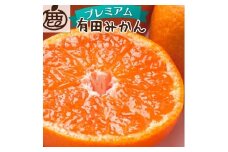 【先行予約】プレミアム有田みかん 5kg+250g（傷み補償分）11月より発送(完熟)【光センサー選果】※北海道・沖縄・離島配送不可 / みかん ミカン くだもの 果物 柑橘 フルーツ 和歌山 有田みかん 【ikd114C】