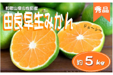 ≪秀品≫和歌山由良町産 由良早生みかん 約５kg サイズおまかせ(Ｌ～２Ｓ) いずれかお届け【sml106C】