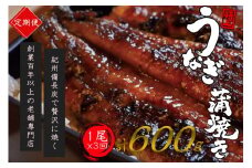 【全3回定期便】極上！国産うなぎ蒲焼 1尾×3回 計3尾 約600g 創業100年以上続く老舗 紀州備長炭でじっくり焼き上げた専門店の味 （タレ・山椒付き）/ うなぎ ウナギ 鰻 蒲焼 国産 ふるさと納税【tkb315】
