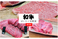 【全3回】尾呂志屋精肉店の和牛ぜいたく定期便  /  和牛 赤身 焼き肉 焼肉 牛肉 牛 精肉 【ors-tkb401】