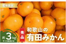 【1月発送】秀品 有田みかん 和歌山県産 S～Lサイズ 大きさお任せ 3kg / みかん フルーツ 果物 くだもの 有田みかん 蜜柑 柑橘【ktn001-1】