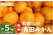 【1月発送】秀品 有田みかん 和歌山県産 S～Lサイズ 大きさお任せ 5kg / みかん フルーツ 果物 くだもの 有田みかん 蜜柑 柑橘【ktn002-1】 
